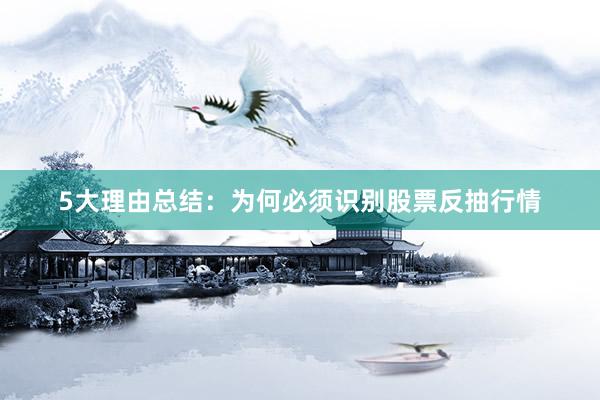 5大理由总结：为何必须识别股票反抽行情